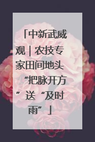 中新武威观｜农技专家田间地头“把脉开方”送“及时雨”