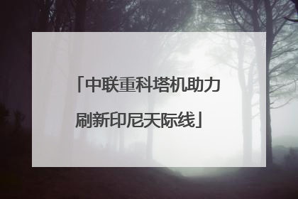 中联重科塔机助力刷新印尼天际线