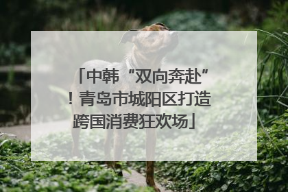 中韩“双向奔赴”！青岛市城阳区打造跨国消费狂欢场