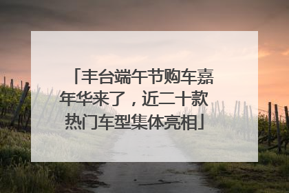 丰台端午节购车嘉年华来了，近二十款热门车型集体亮相