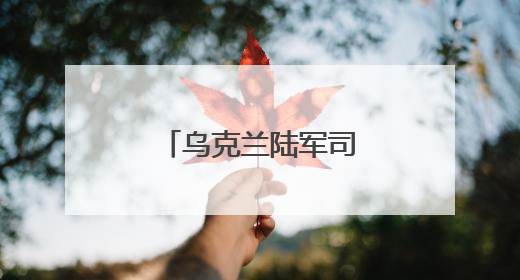 乌克兰陆军司令德拉帕特宣布将继续留任
