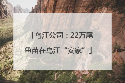 乌江公司：22万尾鱼苗在乌江“安家”