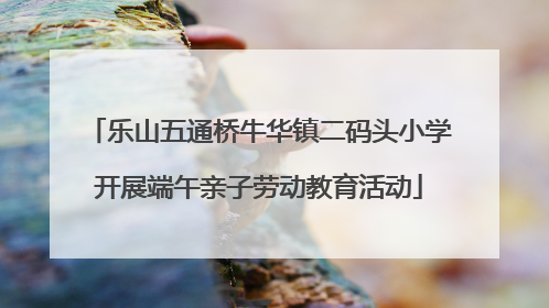 乐山五通桥牛华镇二码头小学开展端午亲子劳动教育活动