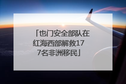 也门安全部队在红海西部解救177名非洲移民