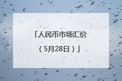 人民币市场汇价（5月28日）