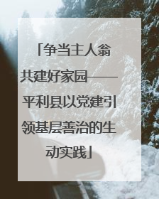争当主人翁 共建好家园——平利县以党建引领基层善治的生动实践