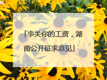 事关你的工资，湖南公开征求意见