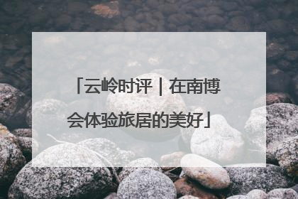 云岭时评｜在南博会体验旅居的美好