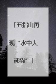 五指山再现“水中大熊猫”