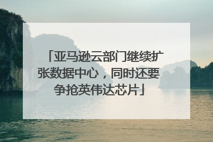 亚马逊云部门继续扩张数据中心，同时还要争抢英伟达芯片