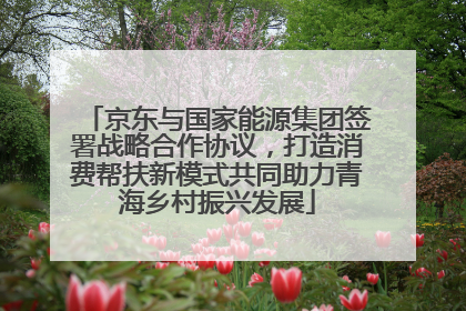 京东与国家能源集团签署战略合作协议，打造消费帮扶新模式共同助力青海乡村振兴发展