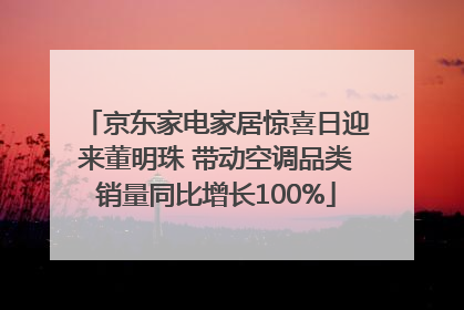 京东家电家居惊喜日迎来董明珠 带动空调品类销量同比增长100%