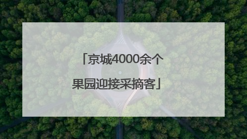 京城4000余个果园迎接采摘客