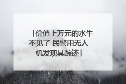 价值上万元的水牛不见了 民警用无人机发现其踪迹