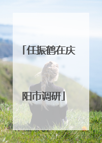 任振鹤在庆阳市调研