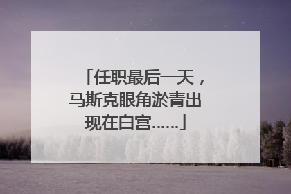 任职最后一天，马斯克眼角淤青出现在白宫……
