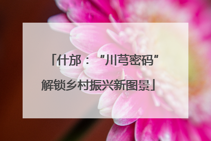 什邡：“川芎密码”解锁乡村振兴新图景