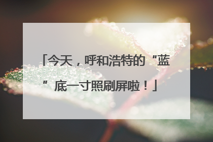 今天，呼和浩特的“蓝”底一寸照刷屏啦！