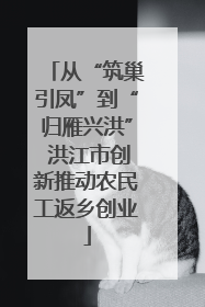从“筑巢引凤”到“归雁兴洪” 洪江市创新推动农民工返乡创业