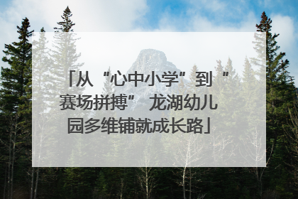 从“心中小学”到“赛场拼搏” 龙湖幼儿园多维铺就成长路