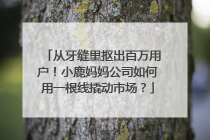 从牙缝里抠出百万用户！小鹿妈妈公司如何用一根线撬动市场？
