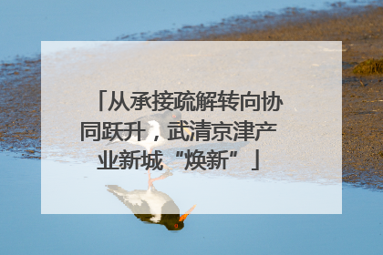 从承接疏解转向协同跃升，武清京津产业新城“焕新”