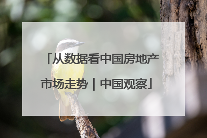 从数据看中国房地产市场走势｜中国观察