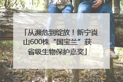 从濒危到绽放！新宁崀山600株“国宝兰”获省级生物保护嘉奖