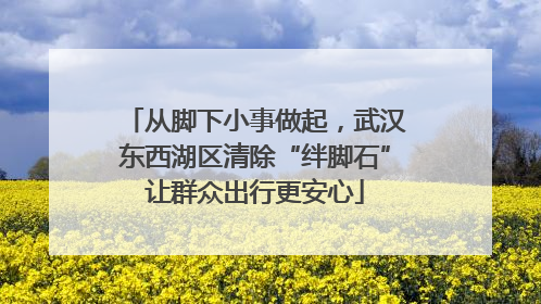 从脚下小事做起，武汉东西湖区清除“绊脚石”让群众出行更安心