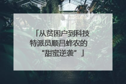 从贫困户到科技特派员顺昌蜂农的“甜蜜逆袭”