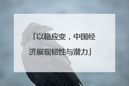 以稳应变，中国经济展现韧性与潜力