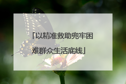 以精准救助兜牢困难群众生活底线