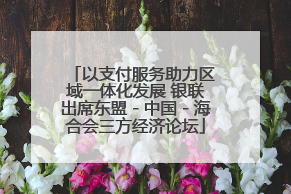以支付服务助力区域一体化发展 银联出席东盟－中国－海合会三方经济论坛