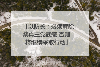 以防长：必须解除黎真主党武装 否则将继续采取行动