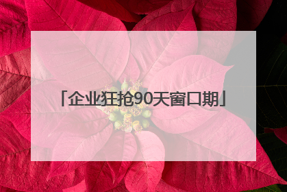 企业狂抢90天窗口期