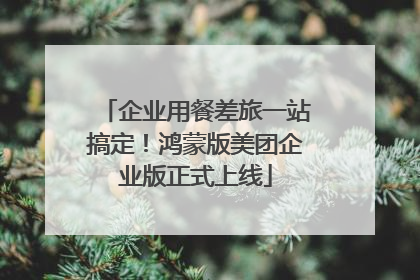 企业用餐差旅一站搞定！鸿蒙版美团企业版正式上线