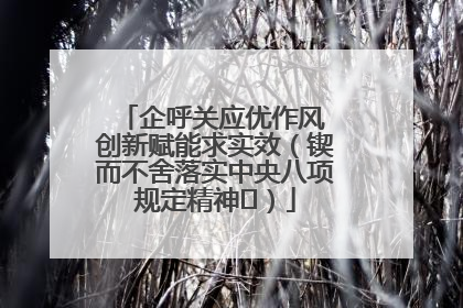企呼关应优作风 创新赋能求实效（锲而不舍落实中央八项规定精神⑭）