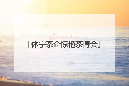 休宁茶企惊艳茶博会