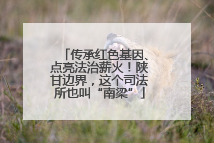 传承红色基因、点亮法治薪火！陕甘边界，这个司法所也叫“南梁”