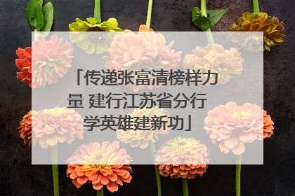 传递张富清榜样力量 建行江苏省分行学英雄建新功