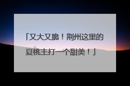 又大又脆！荆州这里的夏桃主打一个甜美！