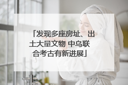 发现多座房址、出土大量文物 中乌联合考古有新进展
