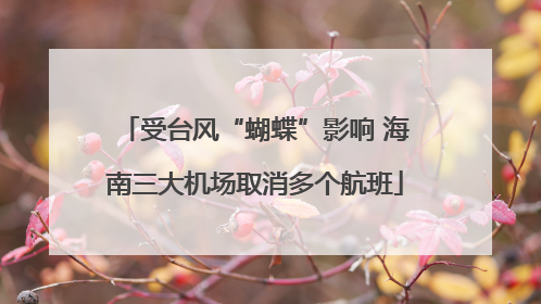 受台风“蝴蝶”影响 海南三大机场取消多个航班