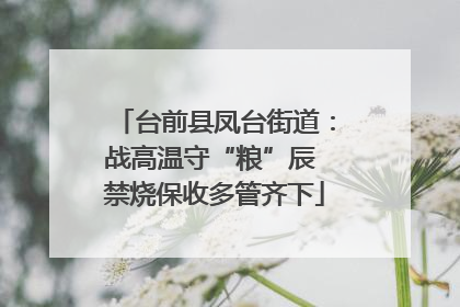 台前县凤台街道：战高温守“粮”辰 禁烧保收多管齐下