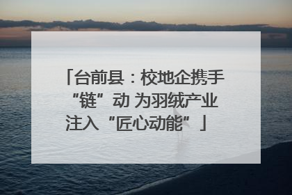 台前县：校地企携手“链”动 为羽绒产业注入“匠心动能”