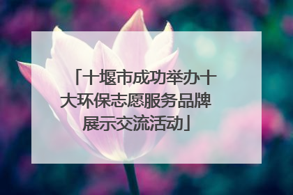 十堰市成功举办十大环保志愿服务品牌展示交流活动