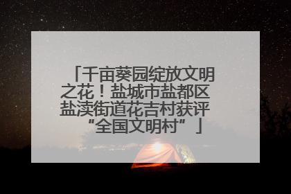 千亩葵园绽放文明之花！盐城市盐都区盐渎街道花吉村获评“全国文明村”