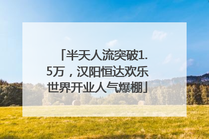 半天人流突破1.5万，汉阳恒达欢乐世界开业人气爆棚