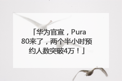 华为官宣，Pura 80来了，两个半小时预约人数突破4万！