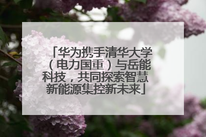 华为携手清华大学（电力国重）与岳能科技，共同探索智慧新能源集控新未来